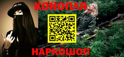 крисы Новодвинск
