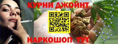 прущие крисы Новозыбков