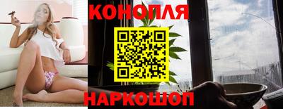прущие крисы Новозыбков