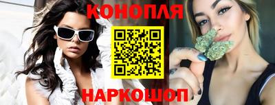 крисы Новодвинск