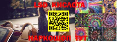 крисы Новодвинск