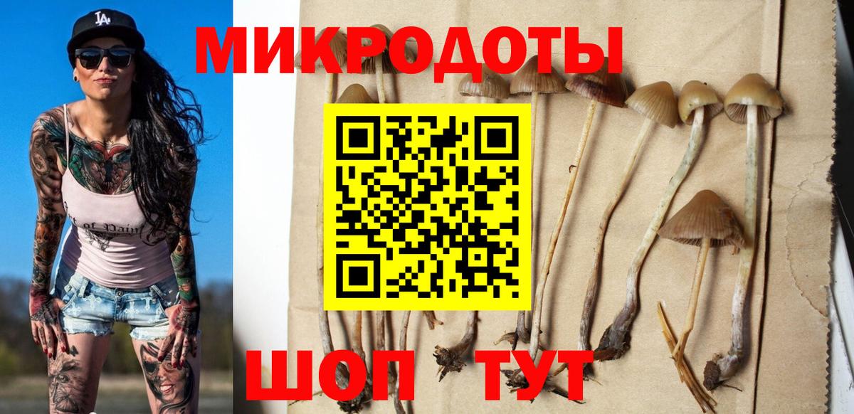 Галлюциногенные грибы мухоморы  Псилоцибиновые грибы GOLDEN TEACHER  Шали  Вход с VPN 